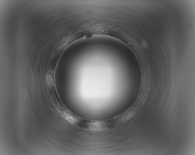 X0000080780432200612151434