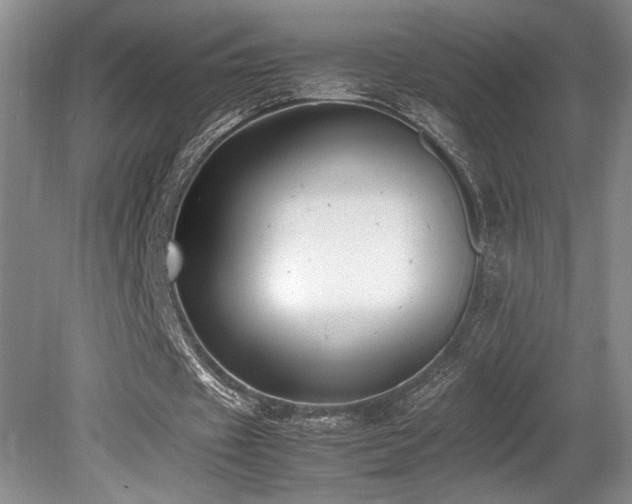 X0000080780433200612151433