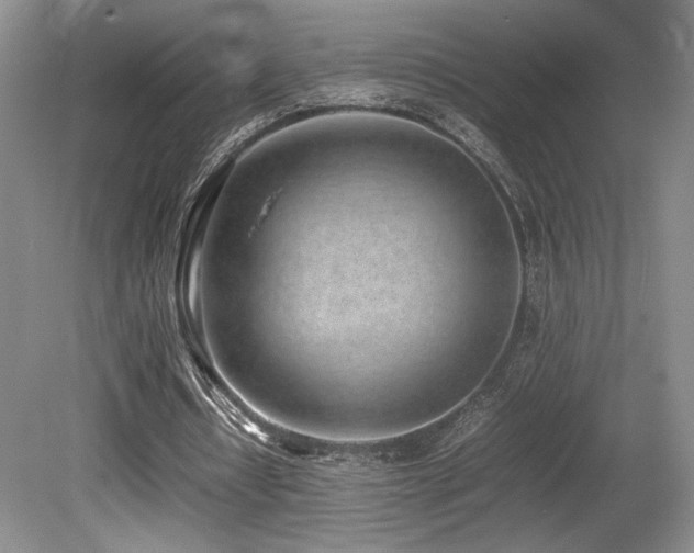 X0000080780434200612151433