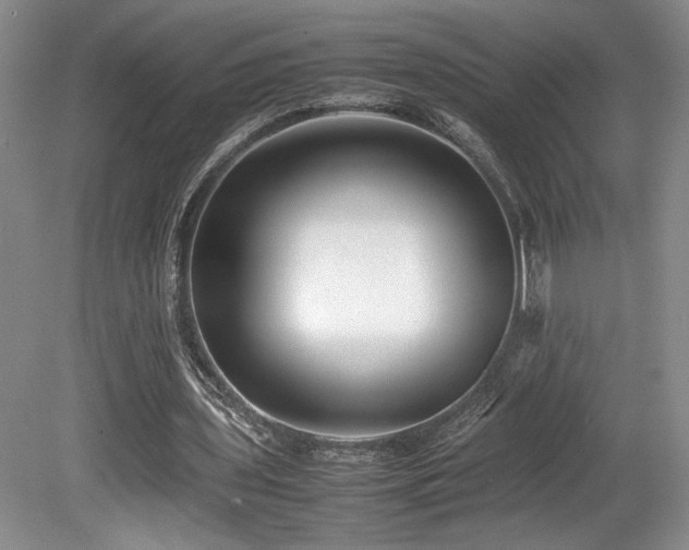 X0000080780435200612151433