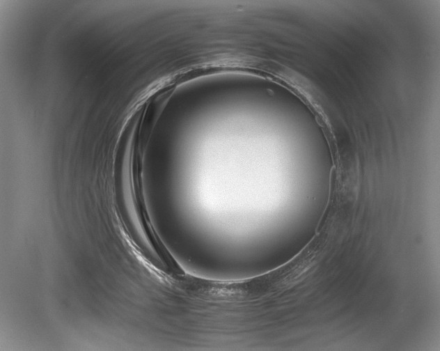 X0000080780437200612151433