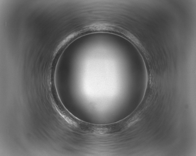 X0000080780438200612151433