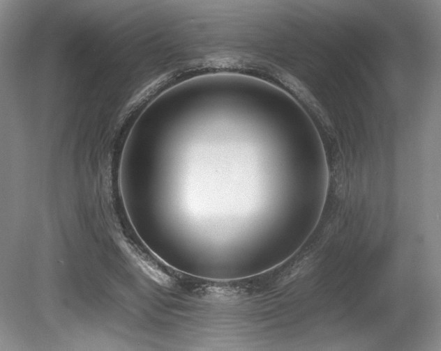 X0000080780442200612151433