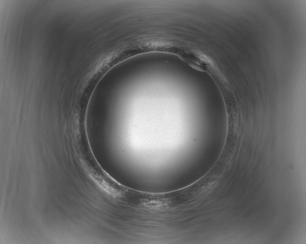 X0000080780447200612151433