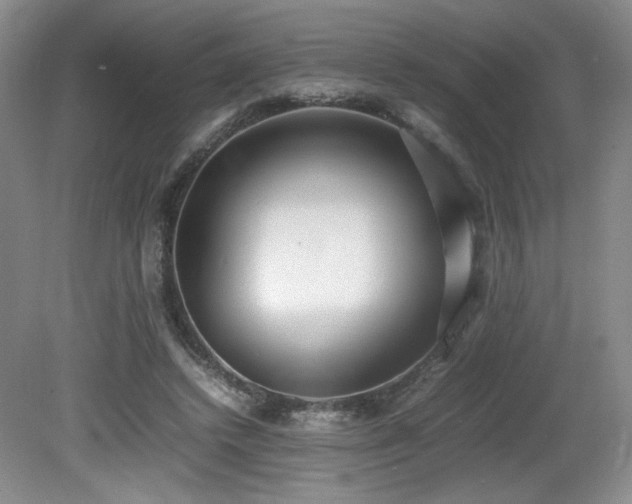 X0000080780448200612151433