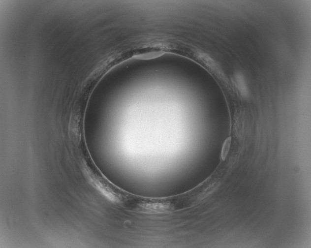 X0000080780449200612151433