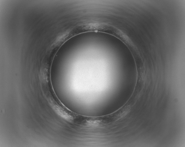 X0000080780450200612151433