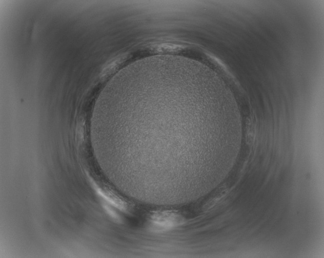 X0000080780451200612151433