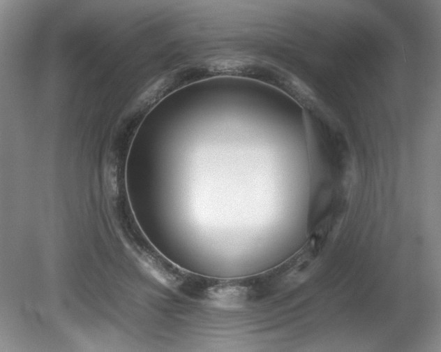 X0000080780452200612151433