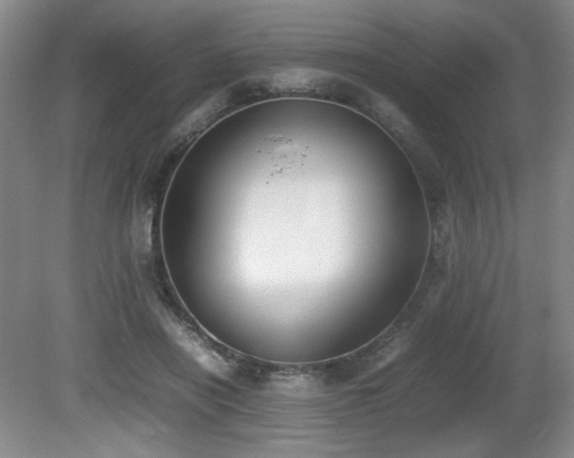 X0000080780454200612151433