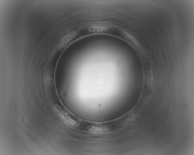 X0000080780455200612151433