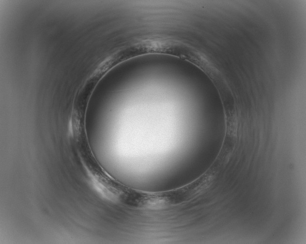 X0000080780456200612151433