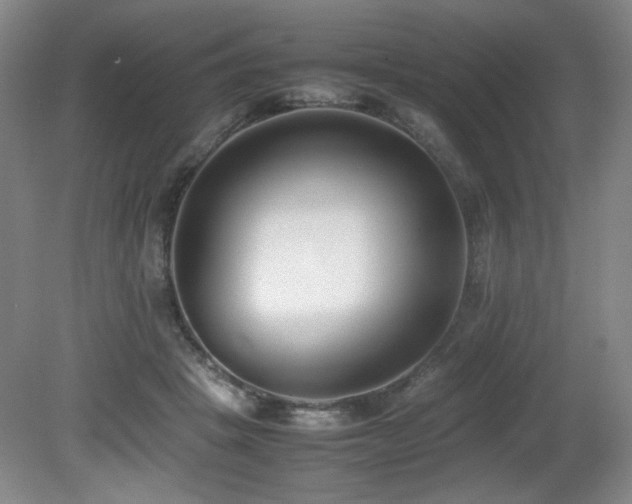 X0000080780457200612151433