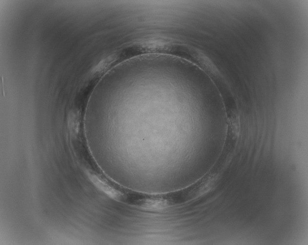 X0000080780458200612151433