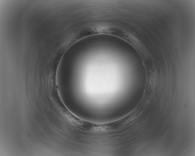 X0000080780461200612151433