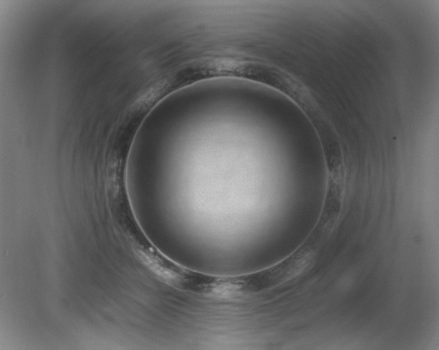 X0000080780462200612151433