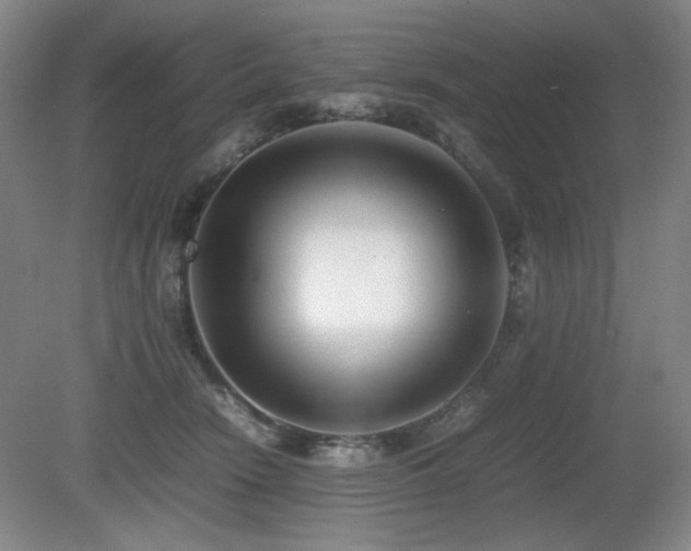 X0000080780466200612151433