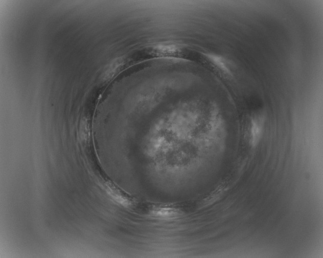 X0000080780467200612151433