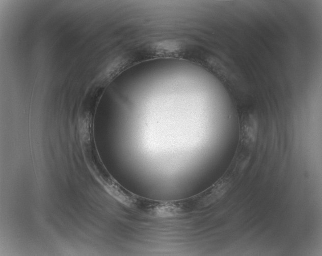 X0000080780468200612151433