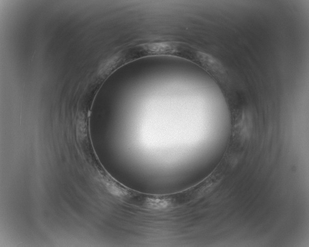 X0000080780469200612151433