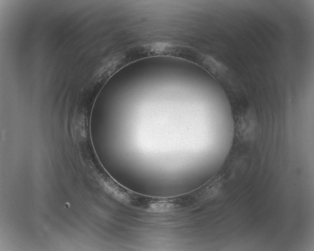 X0000080780470200612151433