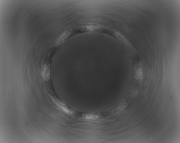 X0000080780471200612151433