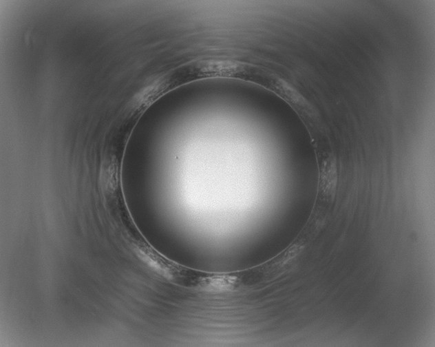 X0000080780474200612151433