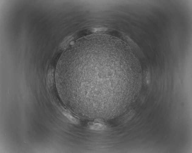 X0000080780475200612151433