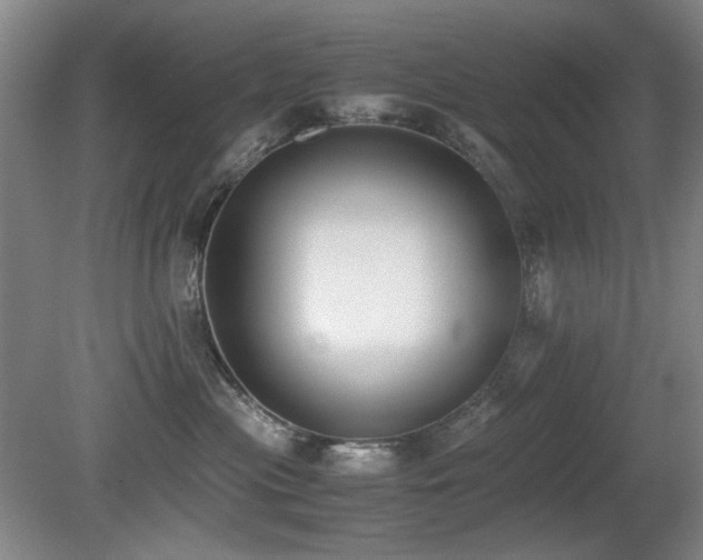 X0000080780477200612151433