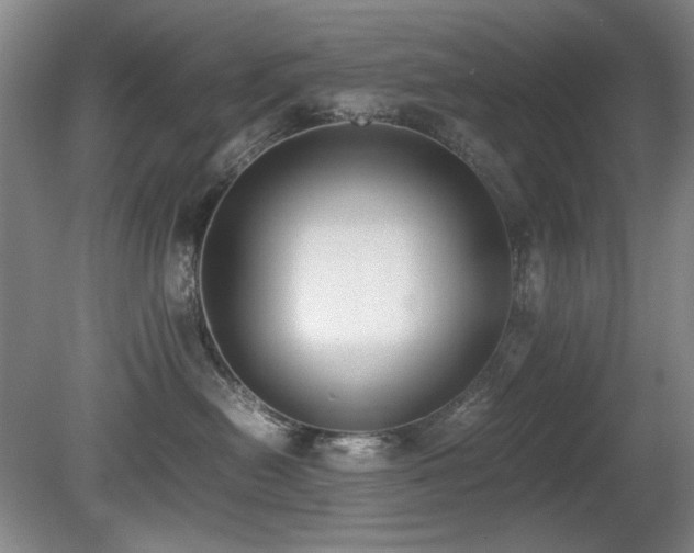 X0000080780478200612151433