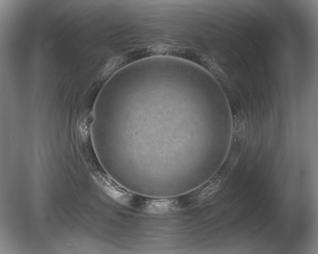 X0000080780479200612151433