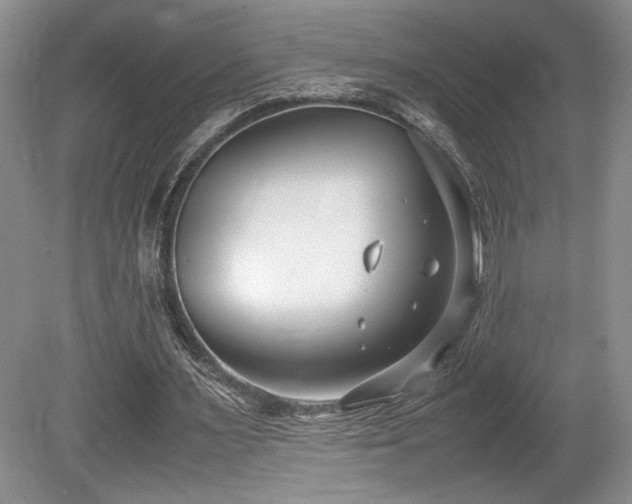 X0000080780483200612151433