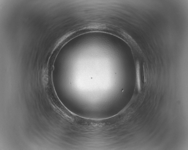 X0000080780484200612151433