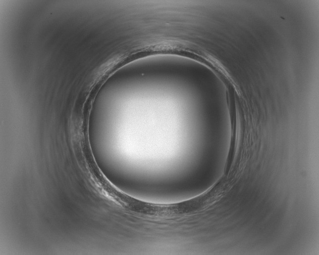 X0000080780485200612151433