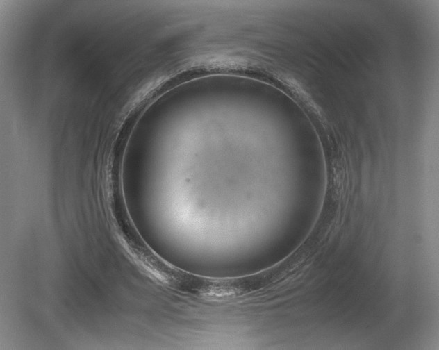 X0000080780487200612151433