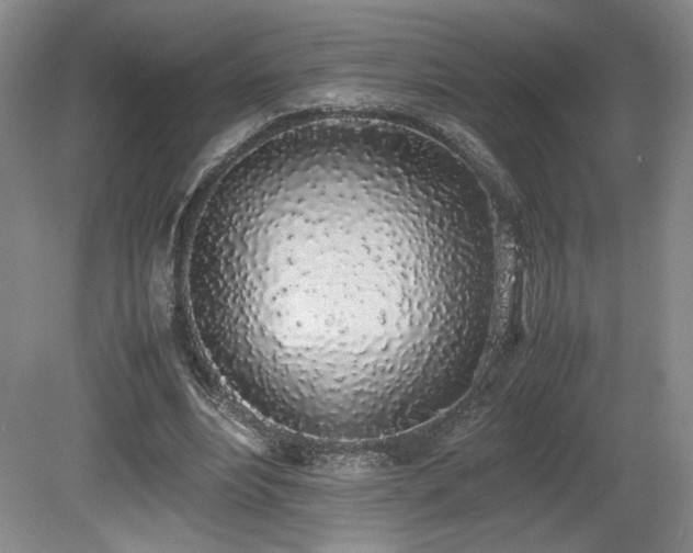 X0000080780488200612151433