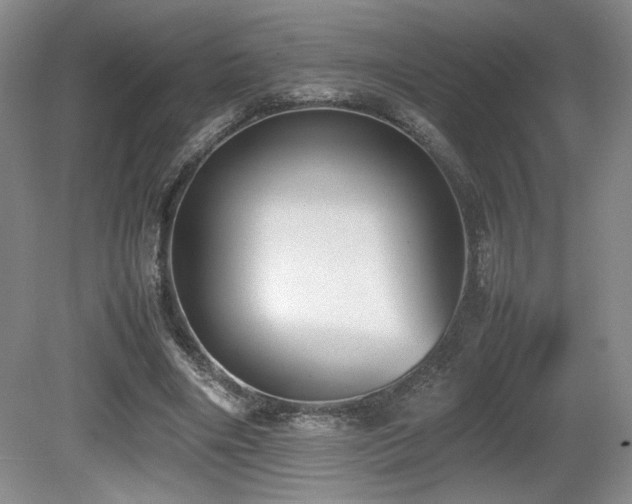 X0000080780490200612151433