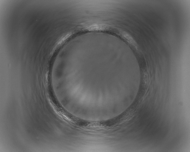 X0000080780491200612151433