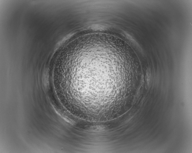 X0000080780492200612151433