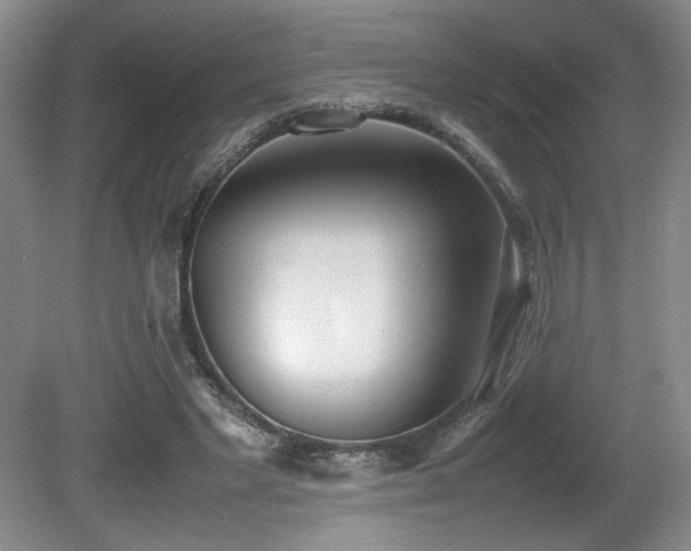 X0000080780493200612151432