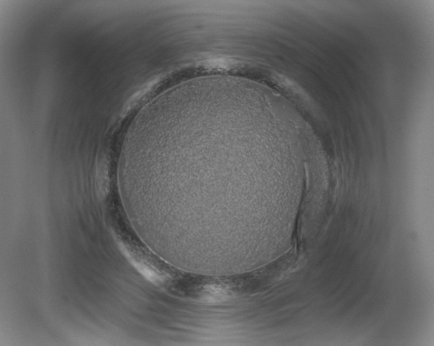 X0000080780496200612151432