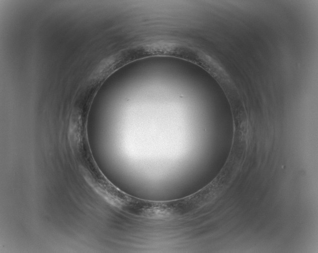 X0000080780498200612151432