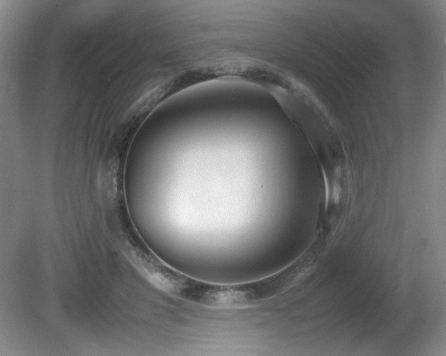 X0000080780501200612151432