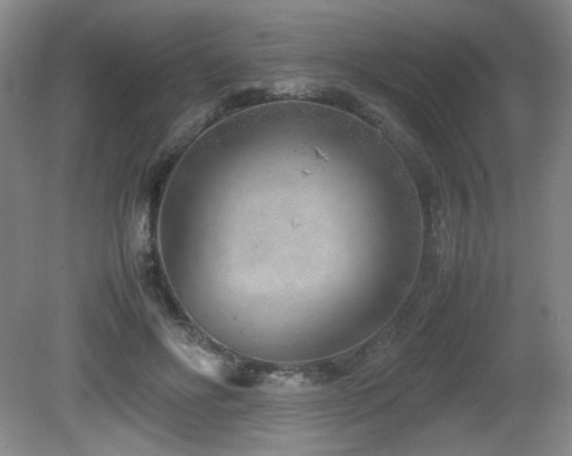 X0000080780502200612151432