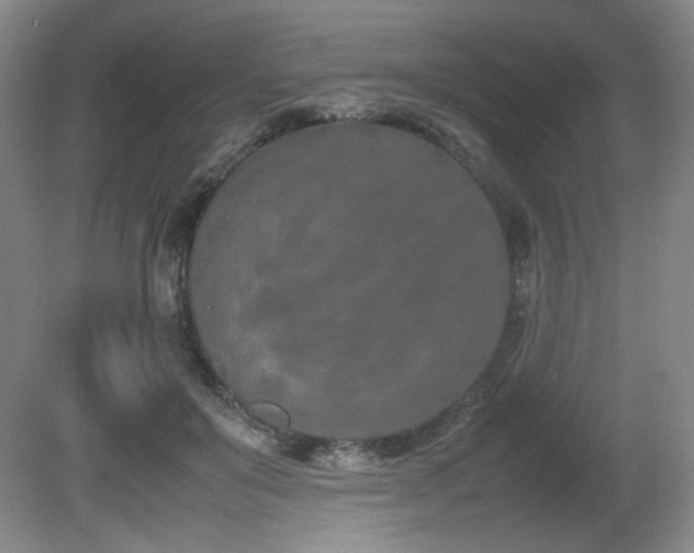 X0000080780503200612151432
