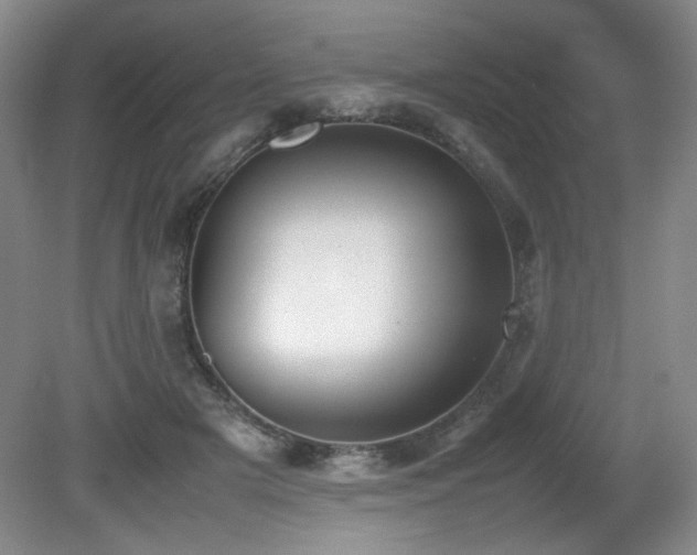 X0000080780505200612151432