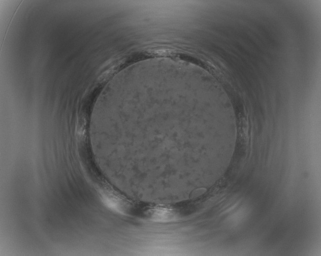 X0000080780507200612151432
