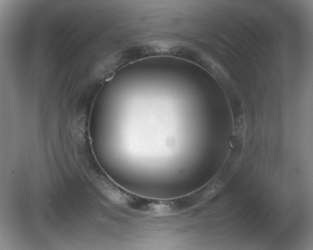 X0000080780509200612151432