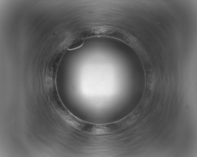 X0000080780510200612151432