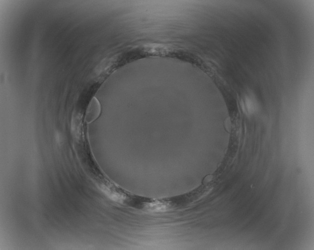 X0000080780511200612151432